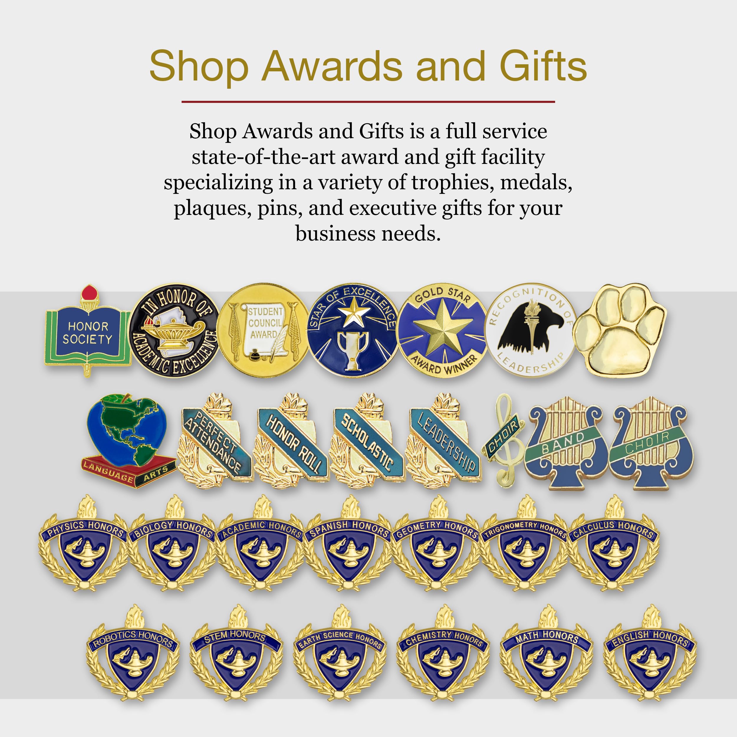 SHOP AWARDS AND GIFTS Star Performer Lapel Pins for Students, Appreciation, Reward, School, Employee Recognition, Bulk Pack of 12, Poly Bagged, 3/4 Inch