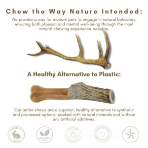 WhiteTail Naturals - Premium Split Elk Antlers for Dogs - (1 Pound Pack) - Organic Dog Chews - Naturally Shed Antler Dog Bones - Long Lasting, Crafted in USA