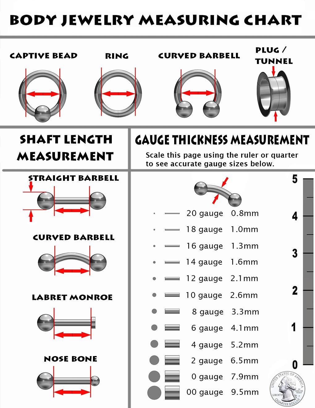 Amelia Fashion 20 Gauge D Shape Septum Ring 316L Surgical Steel (Sold Individually) (20 Gauge 3/8" (10mm) Length)