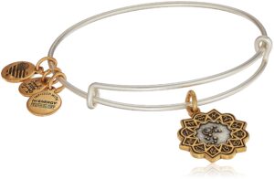 alex and ani women's aquarius two tone bangle bracelet