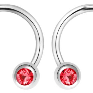 Forbidden Body Jewelry 14G 12mm Surgical Steel Front Facing Red CZ Crystal Nipple Piercing Horseshoe Rings