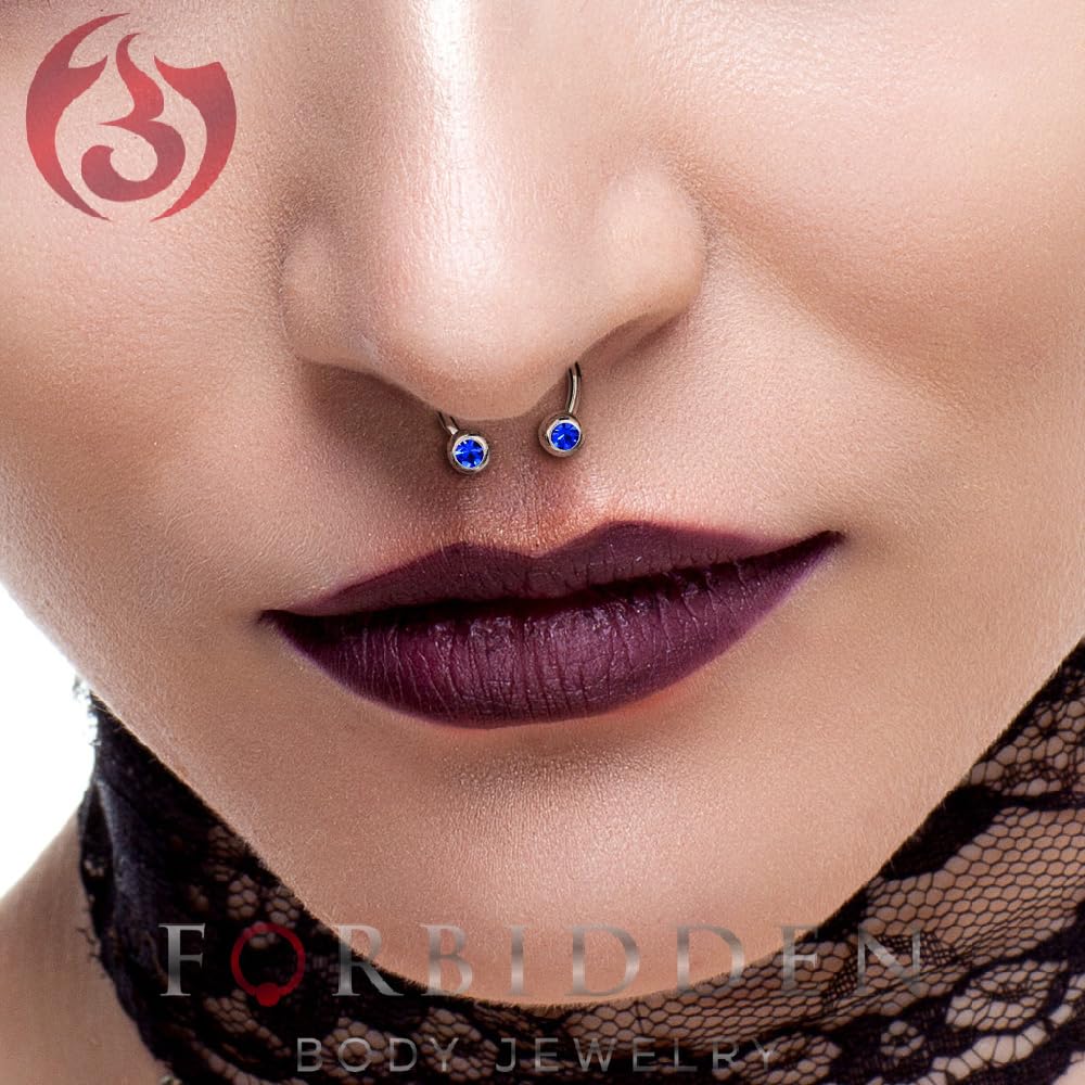 Forbidden Body Jewelry 14G 12mm Surgical Steel Front Facing Red CZ Crystal Nipple Piercing Horseshoe Rings