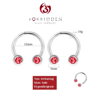 Forbidden Body Jewelry 14G 12mm Surgical Steel Front Facing Red CZ Crystal Nipple Piercing Horseshoe Rings