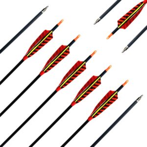 Letszhu Hunting Archery Carbon Arrow, Target Practice Arrow 500 Spine Fletched 4 inch Real Feathers with Field Points for Compound Recurve Longbow (Pack of 6) (29 inch)