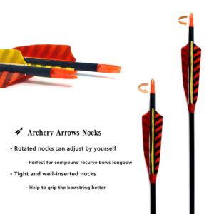 Letszhu Hunting Archery Carbon Arrow, Target Practice Arrow 500 Spine Fletched 4 inch Real Feathers with Field Points for Compound Recurve Longbow (Pack of 6) (29 inch)