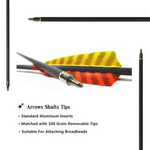 Letszhu Hunting Archery Carbon Arrow, Target Practice Arrow 500 Spine Fletched 4 inch Real Feathers with Field Points for Compound Recurve Longbow (Pack of 6) (29 inch)