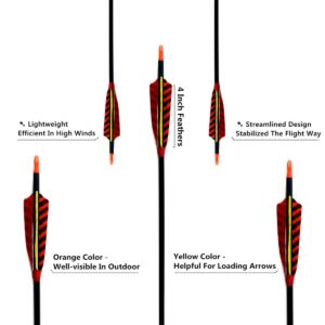 Letszhu Hunting Archery Carbon Arrow, Target Practice Arrow 500 Spine Fletched 4 inch Real Feathers with Field Points for Compound Recurve Longbow (Pack of 6) (29 inch)