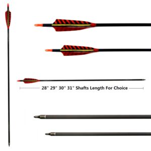 Letszhu Hunting Archery Carbon Arrow, Target Practice Arrow 500 Spine Fletched 4 inch Real Feathers with Field Points for Compound Recurve Longbow (Pack of 6) (29 inch)