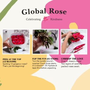 Red Roses- Beautiful Gift- 100 Fresh Flowers