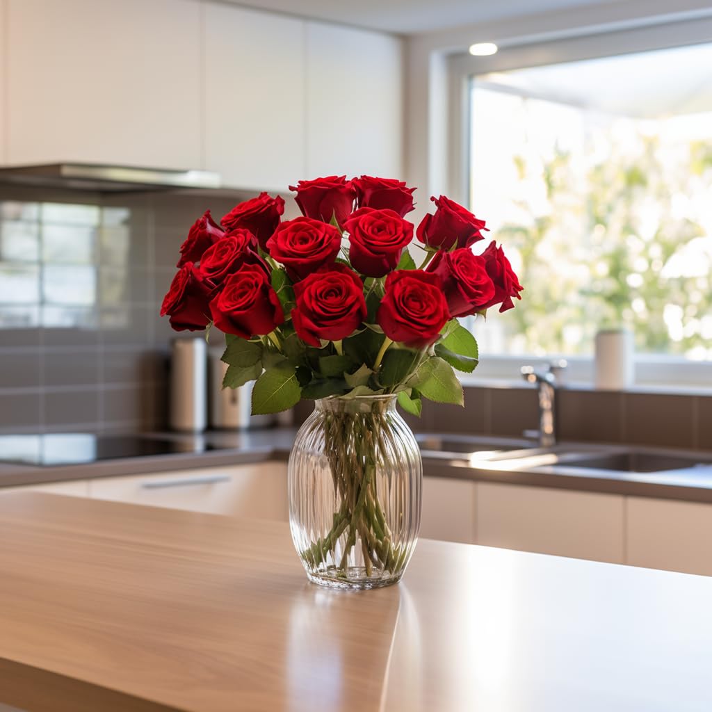 Red Roses- Beautiful Gift- 100 Fresh Flowers