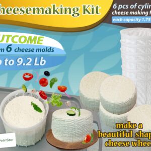 PetriStor 6 Pcs Soft Cheese Mold for Cheese Making 1.85QT - Cheese Making Mold - Cream Cheese Form Mold - Homemade Cheese Making Supplies - Molde Para Queso Fresco Casero - Feta Cheese Making Basket