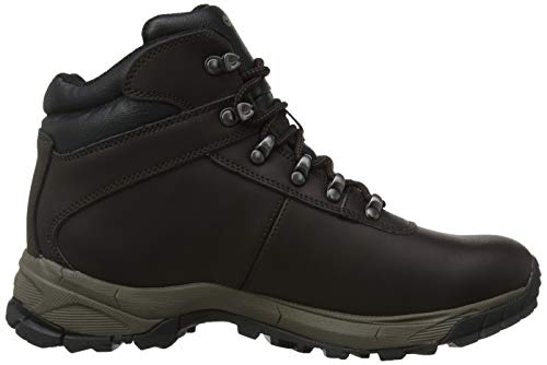 Hi-Tec Women's High Rise Hiking Boots, Brown Dk Chocolate 41, 38