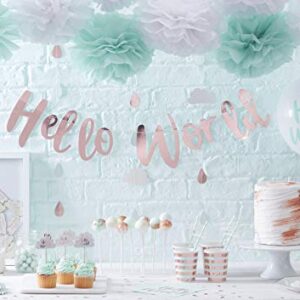 Ginger Ray Hello World Mint & Rose Gold Baby Shower Paper Napkins x 20 - Hello World