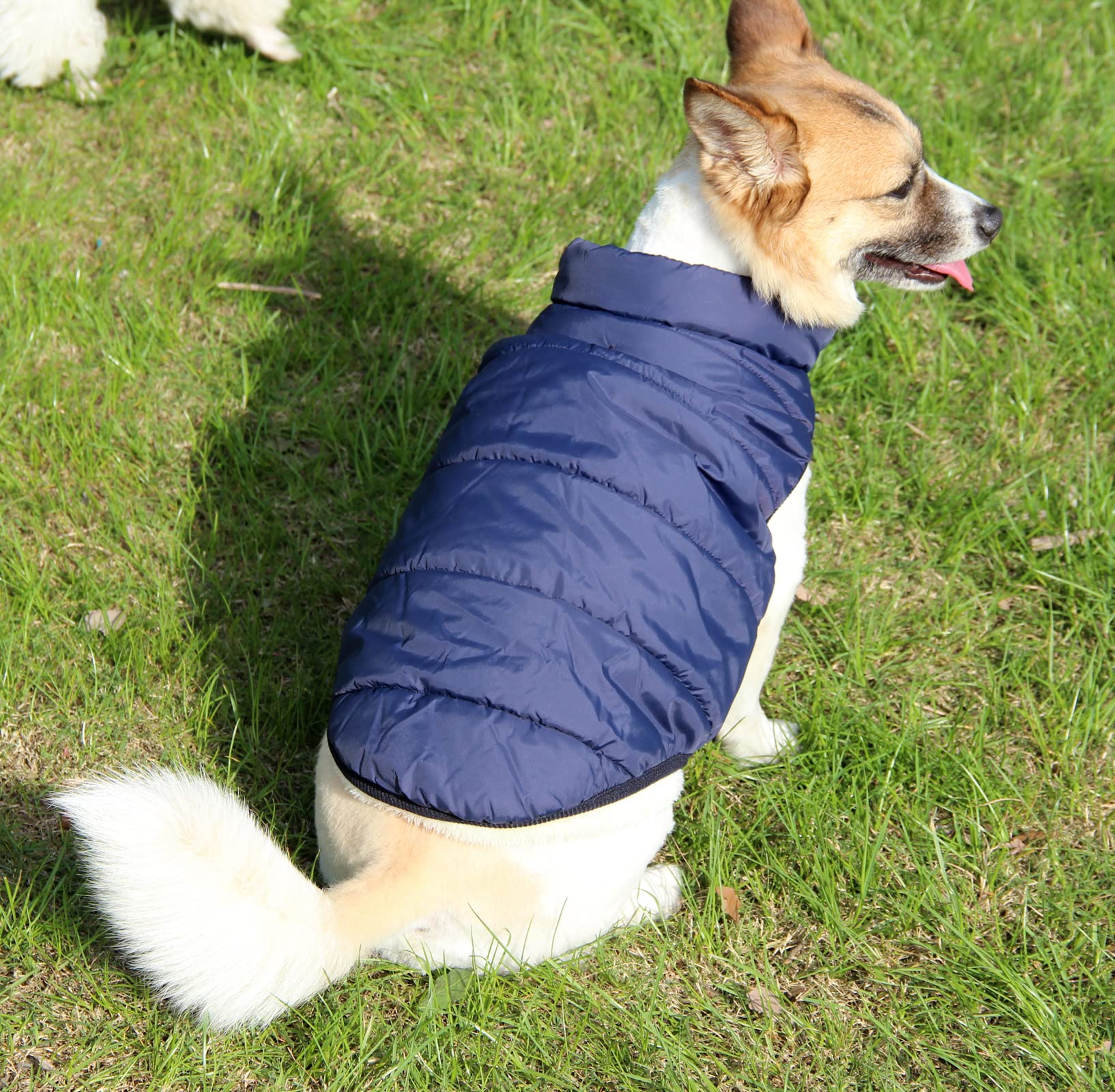 JoyDaog 2 Layers Fleece Lined Warm Dog Jacket for Winter Cold Weather,Soft Windproof Medium Dog Coat,Blue L