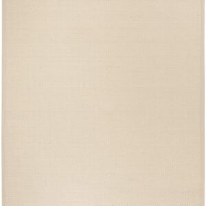 Safavieh Natural Fiber Collection Area Rug - 8' x 10', Ivory & Light Beige, Border Sisal Design, Easy Care, Ideal for High Traffic Areas in Living Room, Bedroom (NF150A)