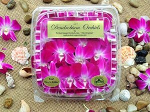 edible orchids - 50 count (pack of 4)