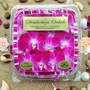 Edible Orchids - 50 Count (Pack of 4)