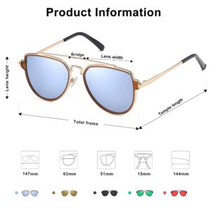 SOJOS Retro Polarized Double Bridge Sunglasses for Men Women Mirrored Lens SJ1051 with Gold Frame/Dusty Blue Mirrored Lens