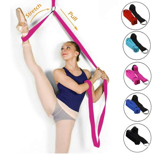 LEPOD Door Stretch Band - Get More Flexible with The Door Flexibility Trainer to Improve Leg Stretching - Perfect Home Equipment for Ballet, Dance and Gymnastic Exercise Taekwondo & MMA (Pink)