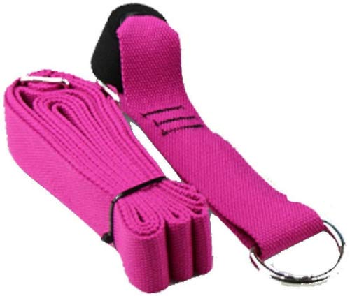 LEPOD Door Stretch Band - Get More Flexible with The Door Flexibility Trainer to Improve Leg Stretching - Perfect Home Equipment for Ballet, Dance and Gymnastic Exercise Taekwondo & MMA (Pink)