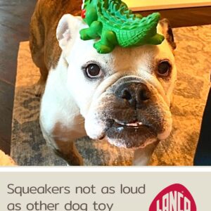 Crocodile Sensory Dog Toy Natural Rubber (Latex), Lead-Free & Chemical-Free, Complies to Same Safety Standards as Children’s Toys, Soft & Squeak