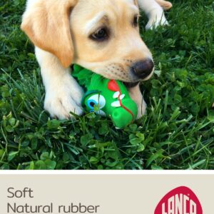 Crocodile Sensory Dog Toy Natural Rubber (Latex), Lead-Free & Chemical-Free, Complies to Same Safety Standards as Children’s Toys, Soft & Squeak