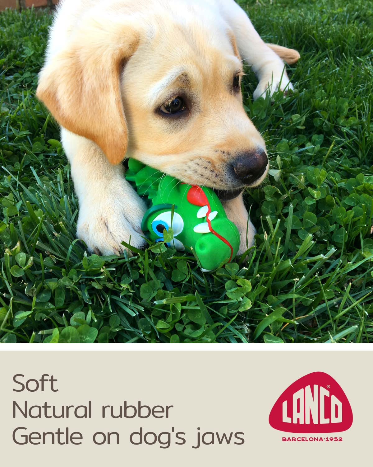 Crocodile Sensory Dog Toy Natural Rubber (Latex), Lead-Free & Chemical-Free, Complies to Same Safety Standards as Children’s Toys, Soft & Squeak