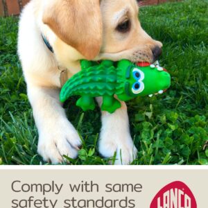 Crocodile Sensory Dog Toy Natural Rubber (Latex), Lead-Free & Chemical-Free, Complies to Same Safety Standards as Children’s Toys, Soft & Squeak