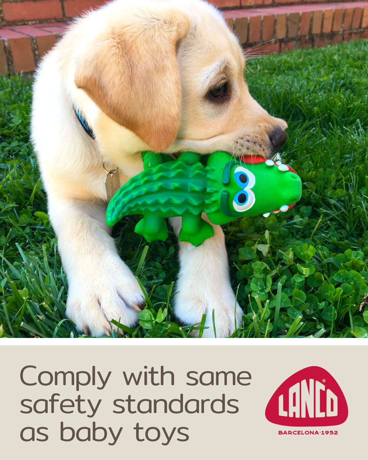 Crocodile Sensory Dog Toy Natural Rubber (Latex), Lead-Free & Chemical-Free, Complies to Same Safety Standards as Children’s Toys, Soft & Squeak