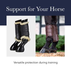 LeMieux Grafter Brushing Horse Boots - Protective Gear and Training Equipment - Equine Boots, Wraps & Accessories (Black - XLarge)