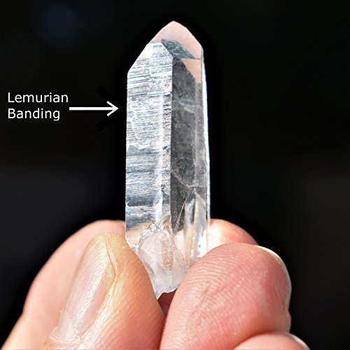 Zenergy Gems Charged Colombian Lemurian Seed Quartz Crystal Point Pendant [Facet-Grade] 10-25 carats weight (Crystal) + 20" Silver Chain + Selenite Charging Heart Included (HEALING ENERGY)