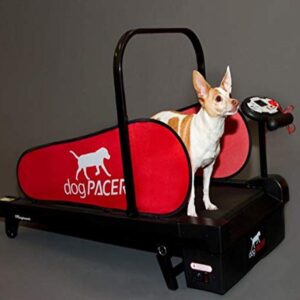 dogPACER MiniPACER Treadmill