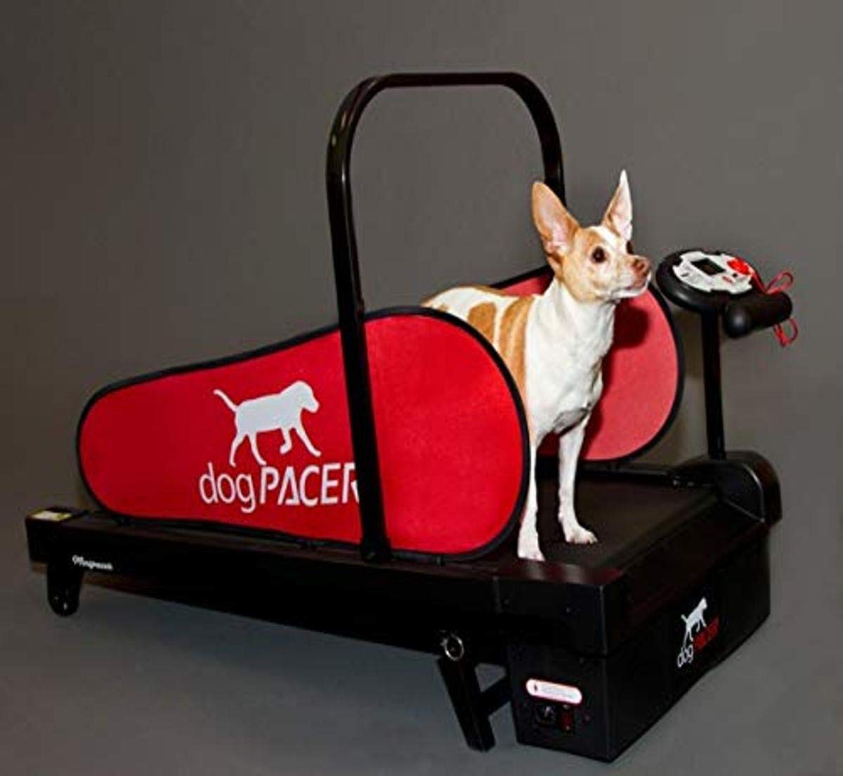 dogPACER MiniPACER Treadmill