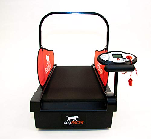 dogPACER MiniPACER Treadmill