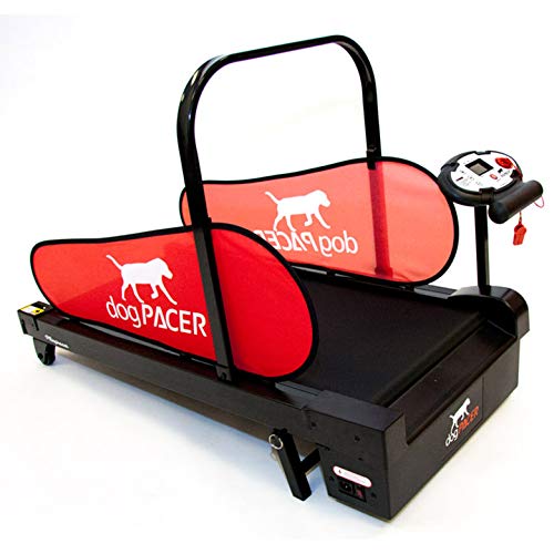 dogPACER MiniPACER Treadmill