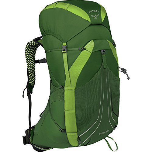 Osprey Packs Exos 58 Backpacking Pack, Tunnel Green, Small