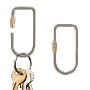 BAMI-LEE House 2 Pcs Titanium Locking Carabiner Titanium Alloy U-shaped Key Chains Rings Buckles for Indoor Outdoor Use