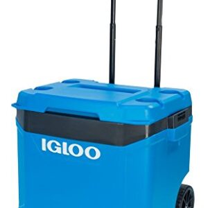 Igloo Latitude 60qt Roller Cooler, Fiesta Blue/Obsidian Gray