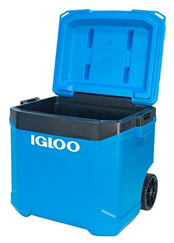 Igloo Latitude 60qt Roller Cooler, Fiesta Blue/Obsidian Gray