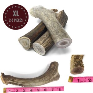 Grade A USA Deer Antlers for Dogs! Odorless, Split-Resistent Horns for Aggressive Chewers! Easy to Digest Antler for Healthy Joints! 1 lb