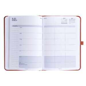 Busy B 17 Month 2018-19 Mid Year Diary - Week-to-View Agenda with timetables and Notes