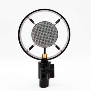 Antique Vintage Classic Cinema Theater Auditorium Speech Live Vocal 25mm Big Diaphragm Condenser Microphone