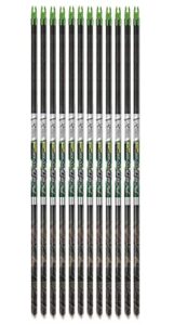 carbon express piledriver ds hunter shafts - 12 pack, 450