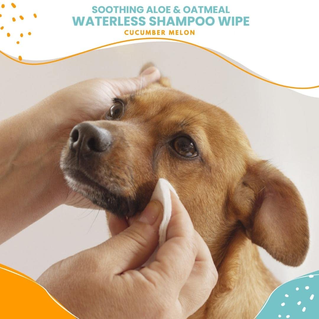 Nootie Waterless Shampoo Wipes for Dogs & Cats - Long Lasting Cucumber Melon Fragrance - Sold in Over 10,000 Vet Clinics and Pet Stores Worldwide, Made in USA - 70 Count