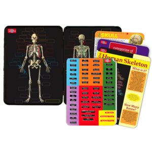 T.S. Shure The Human Skeleton Magnetic Science Tin Stem Activity