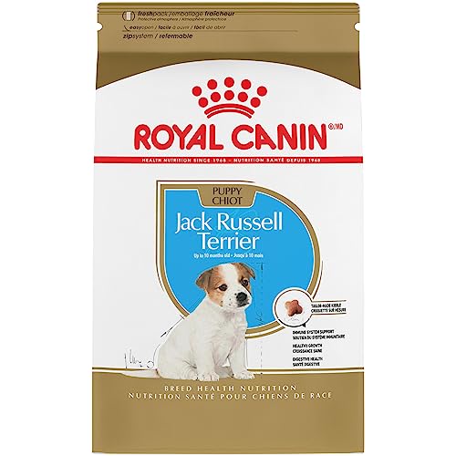 Royal Canin Jack Russell Terrier Puppy Dry Dog Food, 3 lb bag