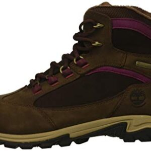 Timberland Women's MT. Maddsen Winter Waterproof Ins Hiking Boot, Dark Brown Nubuck, 9 M US