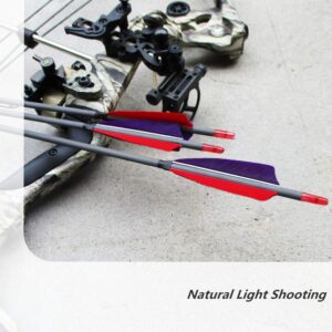 ZHANYI Target Hunting 6 Pack Archery Carbon Arrows 30 Inch 600 Spine with Real Feather Fletching for Compound Recurve Bows