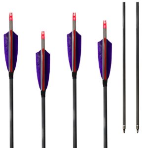 ZHANYI Target Hunting 6 Pack Archery Carbon Arrows 30 Inch 600 Spine with Real Feather Fletching for Compound Recurve Bows