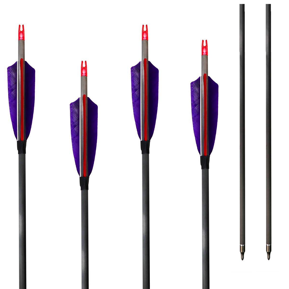 ZHANYI Target Hunting 6 Pack Archery Carbon Arrows 30 Inch 600 Spine with Real Feather Fletching for Compound Recurve Bows